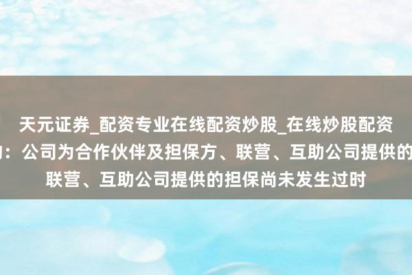 天元证券_配资专业在线配资炒股_在线炒股配资选择配资 天邦食物:公司为合作伙伴及担保方、联营、互助公司提供的担保尚未发生过时