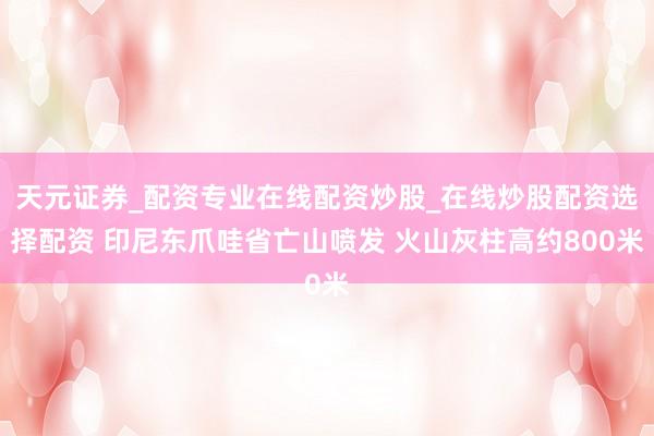 天元证券_配资专业在线配资炒股_在线炒股配资选择配资 印尼东爪哇省亡山喷发 火山灰柱高约800米